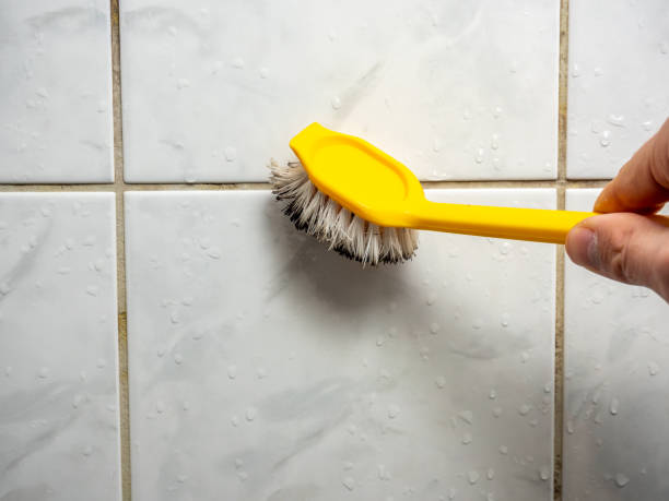Best Mold Damage Repair  in Poughkeepsie, NY